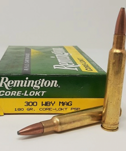 .300 WBY Mag PSP CL CoreLokt 11.66g / 180grs